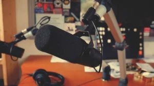 Visuel du journal La Coquelicotidienne de Radio Coquelicot