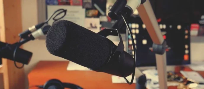 Visuel du journal La Coquelicotidienne de Radio Coquelicot
