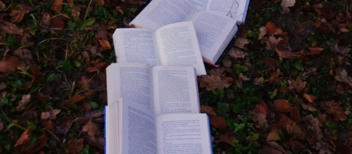 Illustration autour de mots partiellement cachés